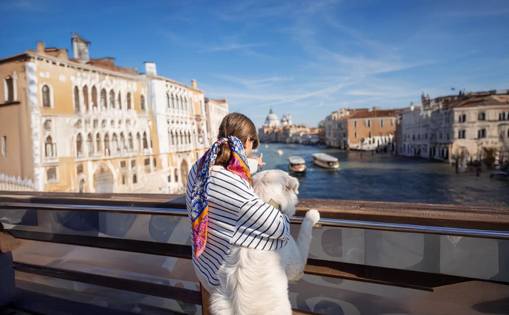 Saznaj više o putnom osiguranju Saznaj više o putnom osiguranju